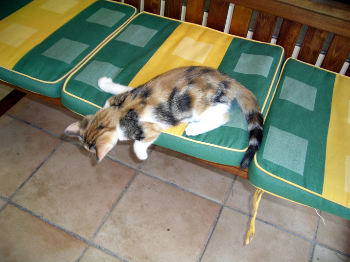 Caramel 08-04 003.jpg